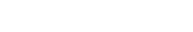 All American Coaches LLC logo